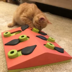 Aktivitetsleksak till katten