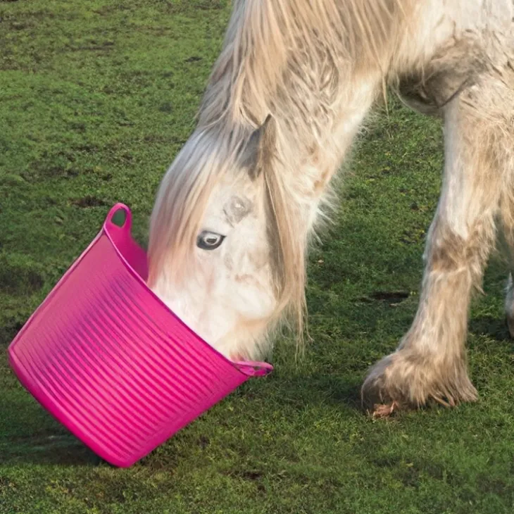 Balja 38L, Tubtrug