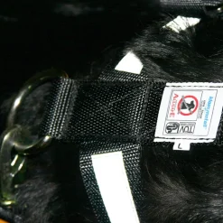 Bilbältessele till hunden