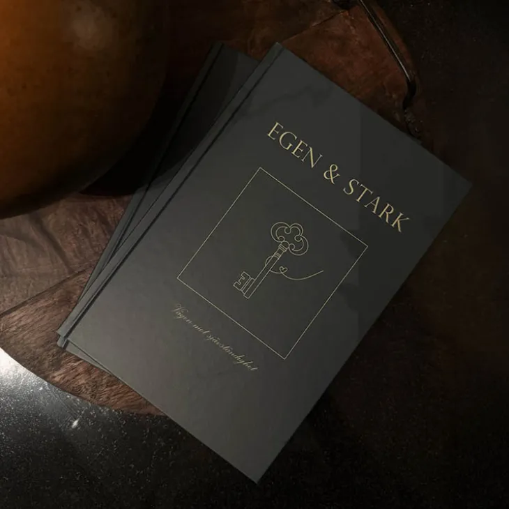 Boken om att flytta hemifrån – Egen och Stark