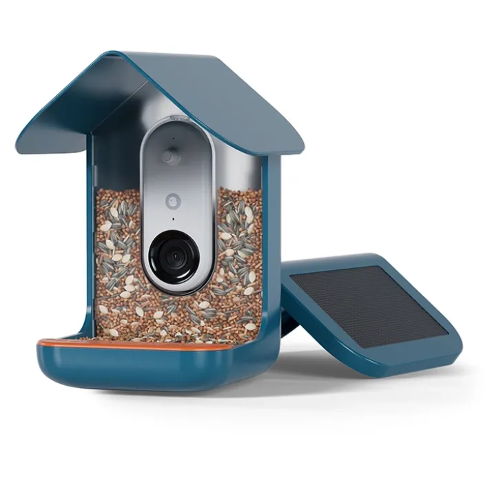 Fågelmatare med kamera, Birdbuddy
