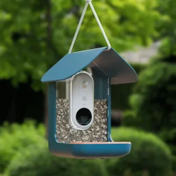 Fågelmatare med kamera, Birdbuddy