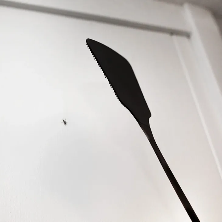 Flugsmälla