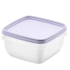 Fryslåda 0,5L 5-pack, SmartStore