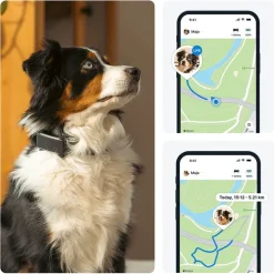 GPS till hund, Tractive