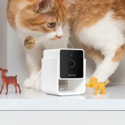 Husdjurskamera, PetCube