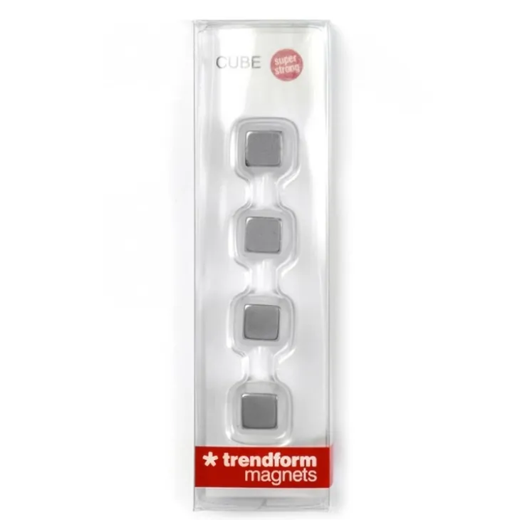 Liten magnet kub 4-pack, Silver