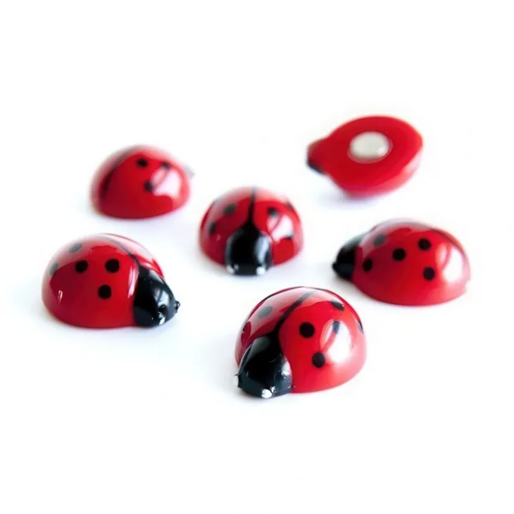 Magnetfigur 6-pack, Nyckelpiga