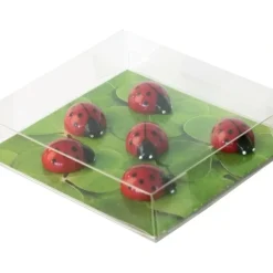 Magnetfigur 6-pack, Nyckelpiga