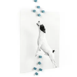 Minimagnet kub 10-pack, Blå