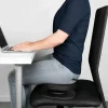 Posture balanssits