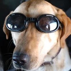 Solglasögon för hundar, Doggles