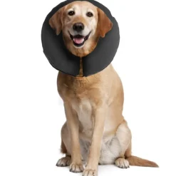 Uppblåsbar hundkrage