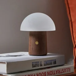 Uppladdningsbar svamplampa