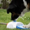 Vattenfontän till hunden