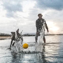 Vattenstudsboll till hunden