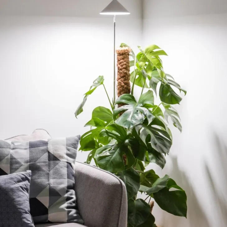 Växtlampa på spett XL 25W