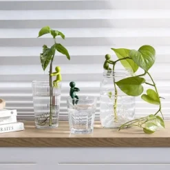 Växtstöd för sticklingar 3-pack