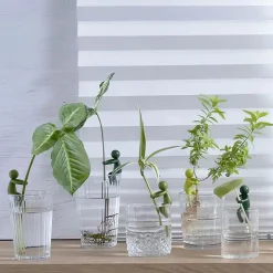 Växtstöd för sticklingar 3-pack
